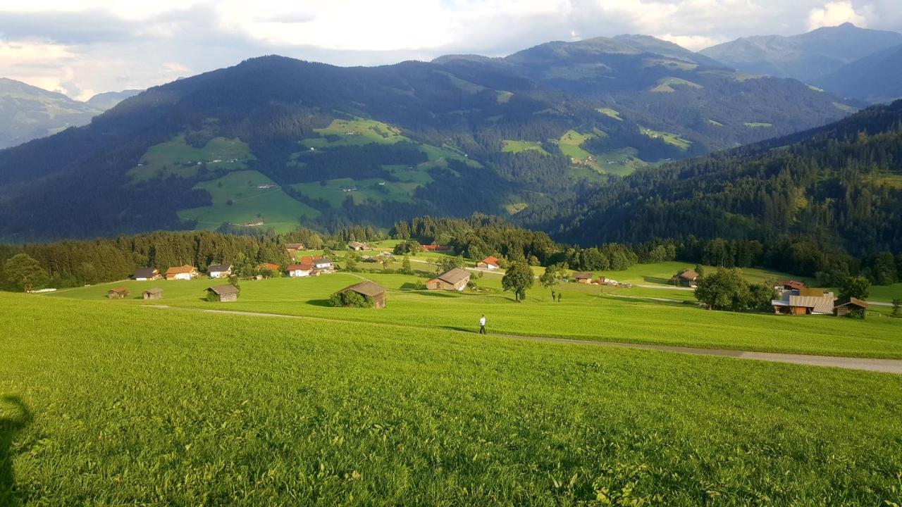 Schrandl Apartment Penningberg Hopfgarten im Brixental Dış mekan fotoğraf