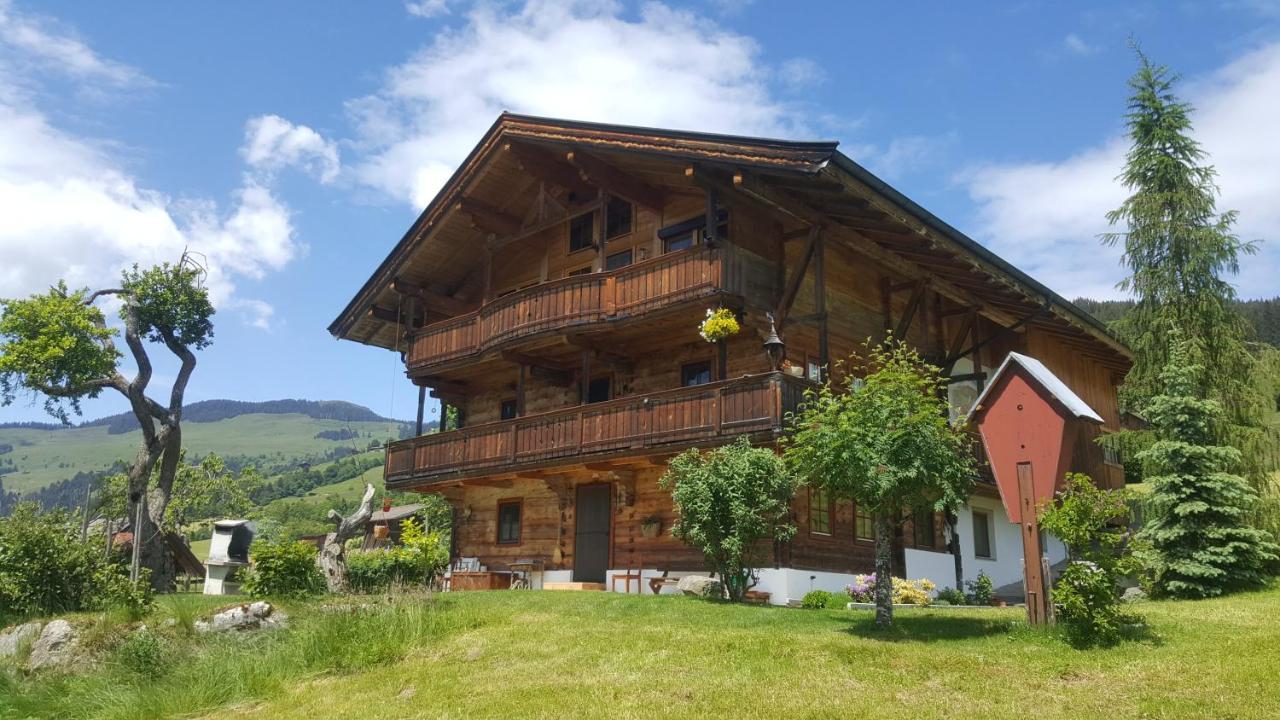 Schrandl Apartment Penningberg Hopfgarten im Brixental Dış mekan fotoğraf