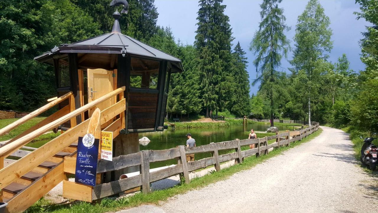 Schrandl Apartment Penningberg Hopfgarten im Brixental Dış mekan fotoğraf