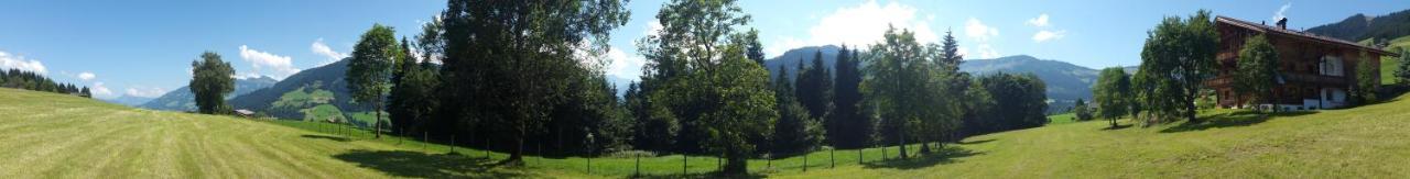 Schrandl Apartment Penningberg Hopfgarten im Brixental Dış mekan fotoğraf