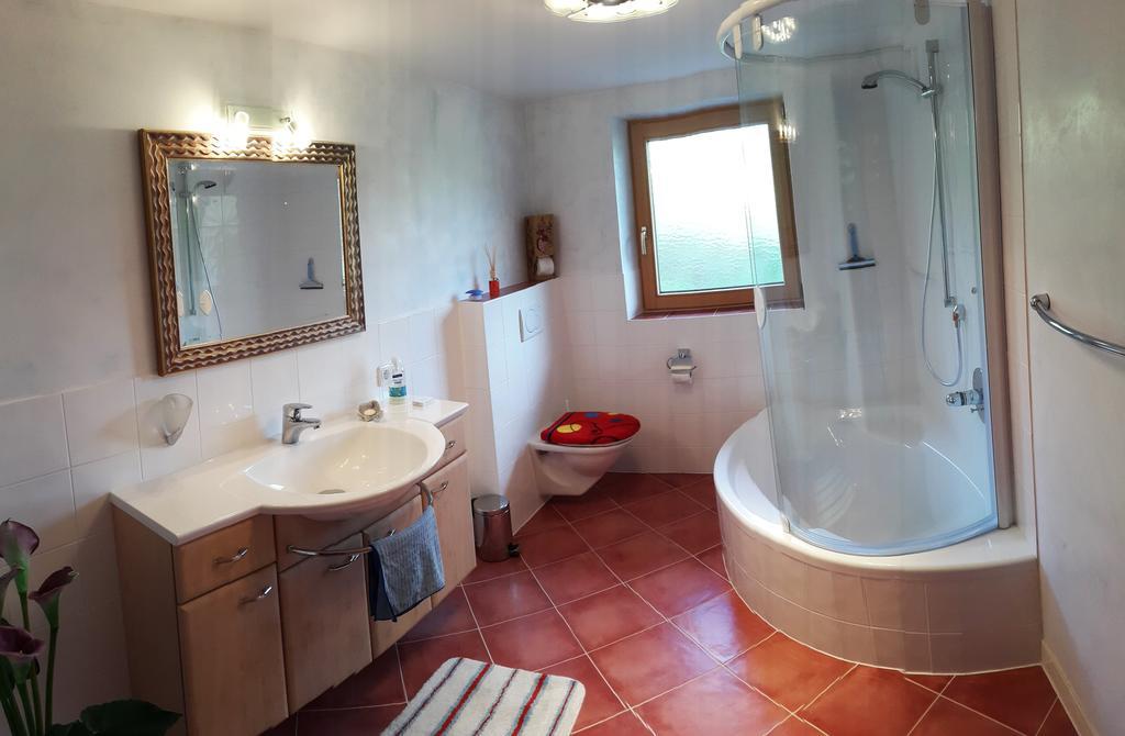 Schrandl Apartment Penningberg Hopfgarten im Brixental Oda fotoğraf