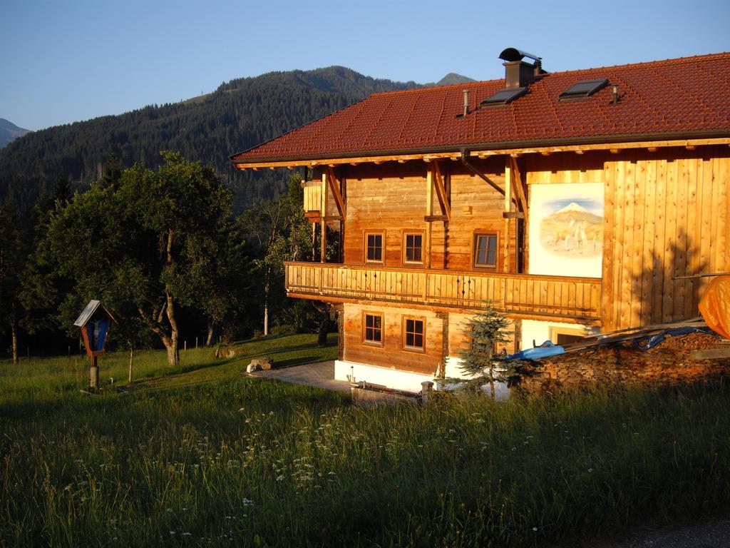 Schrandl Apartment Penningberg Hopfgarten im Brixental Dış mekan fotoğraf