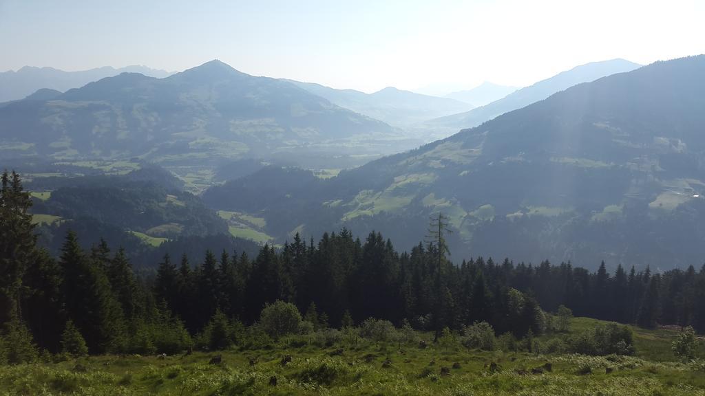 Schrandl Apartment Penningberg Hopfgarten im Brixental Oda fotoğraf