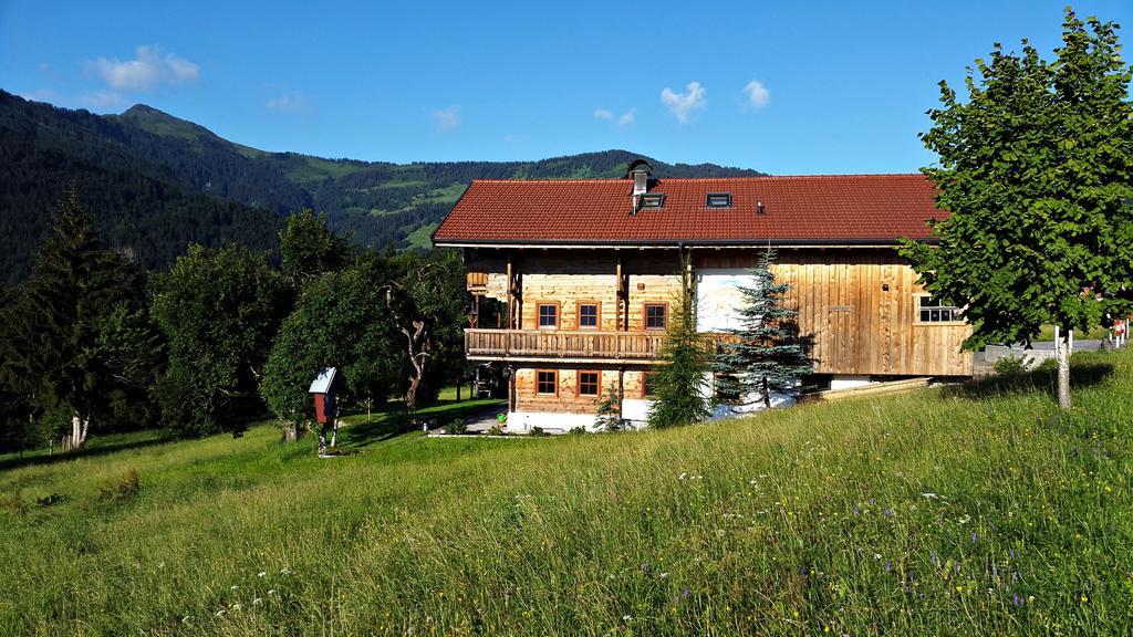 Schrandl Apartment Penningberg Hopfgarten im Brixental Dış mekan fotoğraf