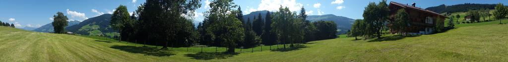 Schrandl Apartment Penningberg Hopfgarten im Brixental Dış mekan fotoğraf