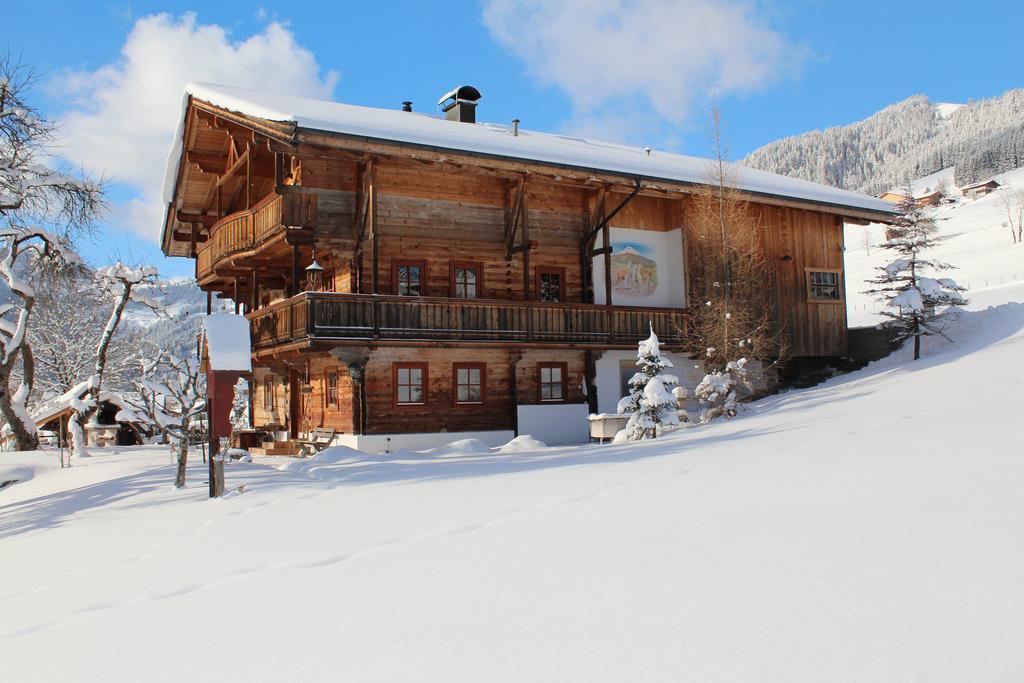 Schrandl Apartment Penningberg Hopfgarten im Brixental Dış mekan fotoğraf