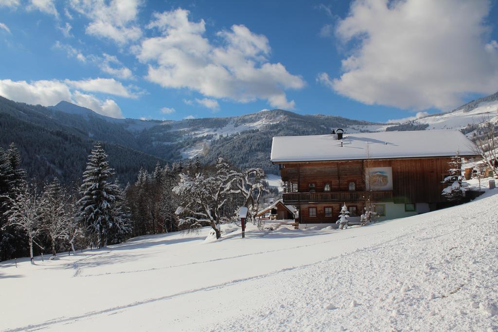 Schrandl Apartment Penningberg Hopfgarten im Brixental Dış mekan fotoğraf
