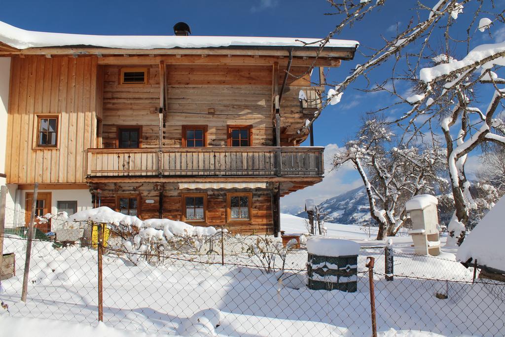 Schrandl Apartment Penningberg Hopfgarten im Brixental Dış mekan fotoğraf