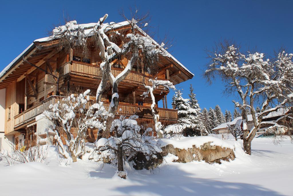 Schrandl Apartment Penningberg Hopfgarten im Brixental Dış mekan fotoğraf