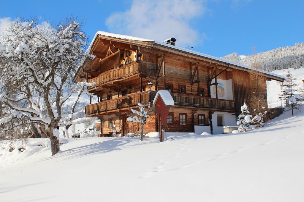 Schrandl Apartment Penningberg Hopfgarten im Brixental Dış mekan fotoğraf