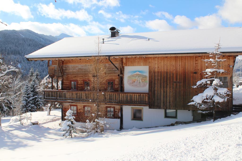 Schrandl Apartment Penningberg Hopfgarten im Brixental Dış mekan fotoğraf