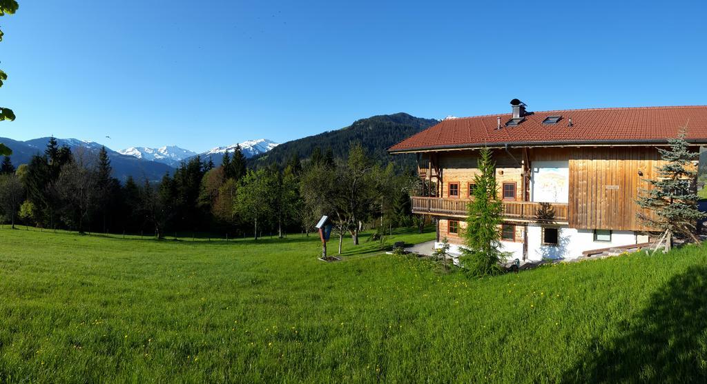 Schrandl Apartment Penningberg Hopfgarten im Brixental Dış mekan fotoğraf