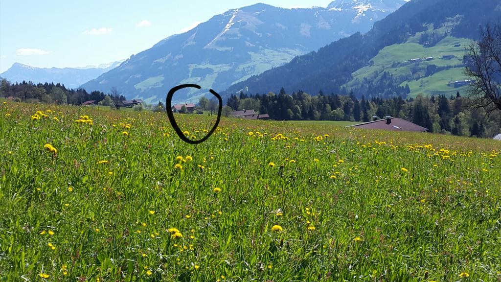 Schrandl Apartment Penningberg Hopfgarten im Brixental Dış mekan fotoğraf