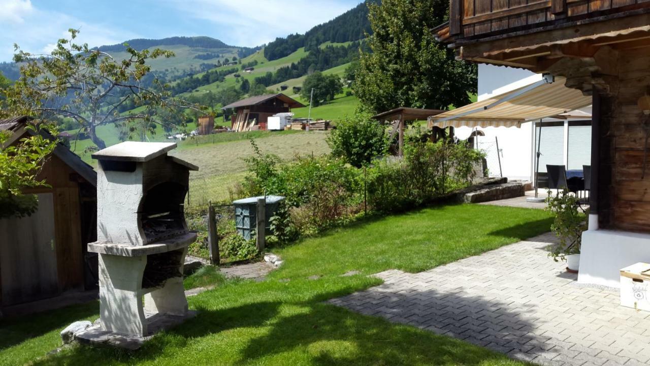 Schrandl Apartment Penningberg Hopfgarten im Brixental Dış mekan fotoğraf