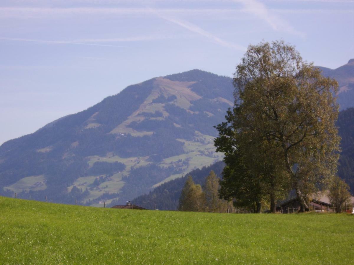 Schrandl Apartment Penningberg Hopfgarten im Brixental Dış mekan fotoğraf
