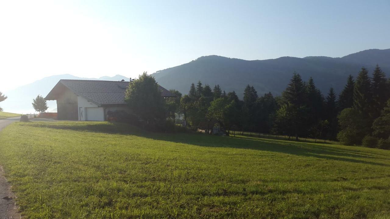 Schrandl Apartment Penningberg Hopfgarten im Brixental Dış mekan fotoğraf