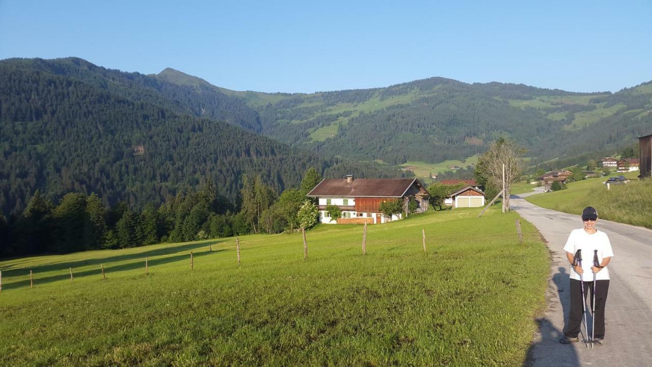 Schrandl Apartment Penningberg Hopfgarten im Brixental Dış mekan fotoğraf
