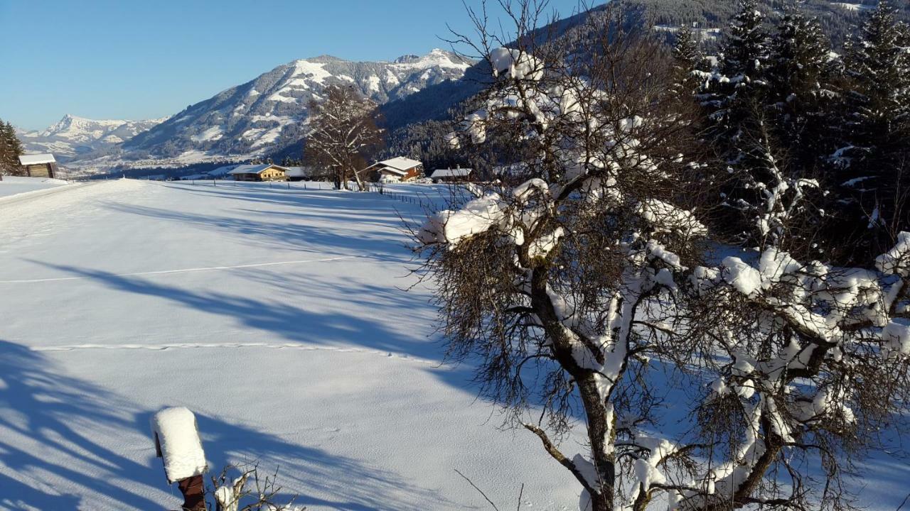 Schrandl Apartment Penningberg Hopfgarten im Brixental Dış mekan fotoğraf