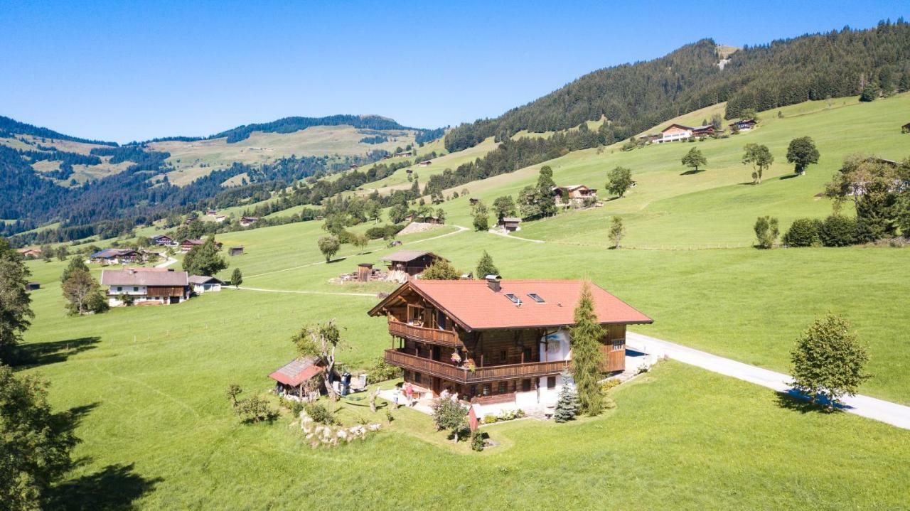 Schrandl Apartment Penningberg Hopfgarten im Brixental Dış mekan fotoğraf