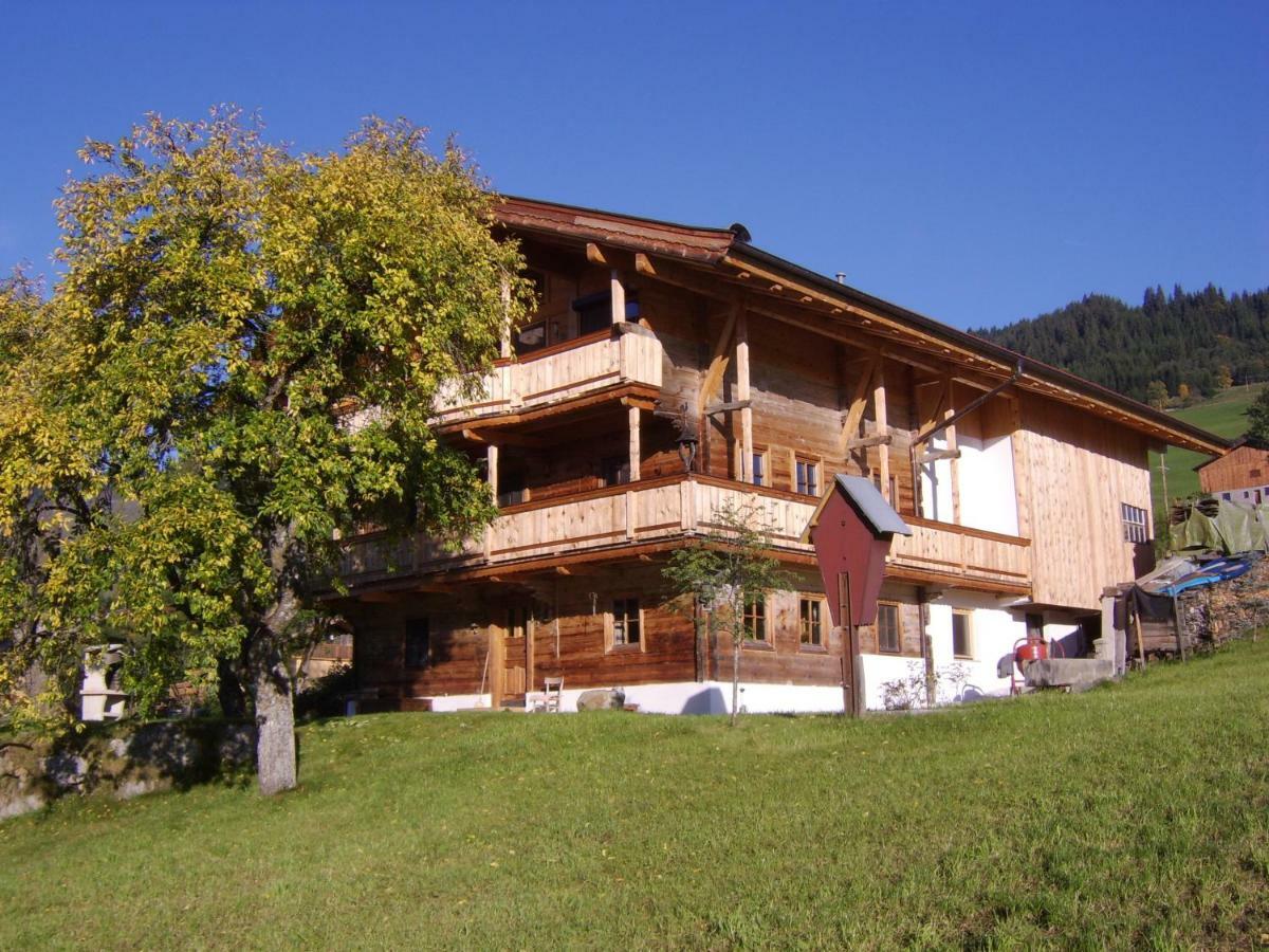 Schrandl Apartment Penningberg Hopfgarten im Brixental Dış mekan fotoğraf